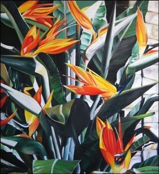 "Orange Strelitzias"