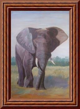 "Elephant"