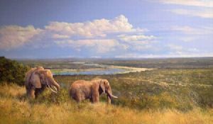 "Olifants River Honeymoon"