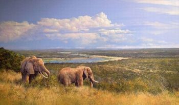 "Olifants River Honeymoon"