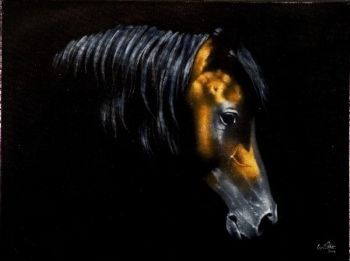 "373 2010 Arabian"