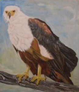 "Fish Eagle St Lucia"