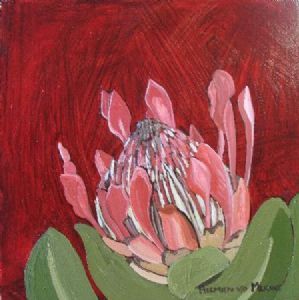 "Fynbos 89, Protea Eximia"