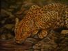 "leopard"