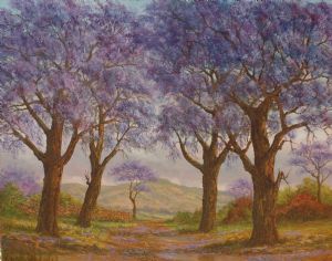 "Jacaranda Trees South Africa Landscape"