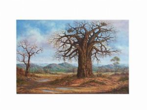 "Lephalale (Ellisras) Baobab Landscape"