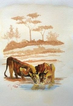 "Lioness @ Waterhole"