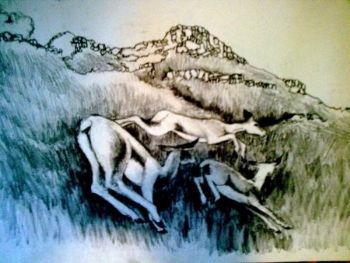 "Antelope Bursting Through the Grass"