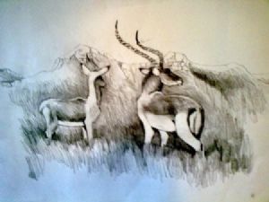 "Antelope Scanning the View"