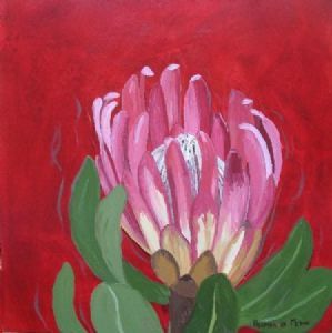 "Fynbos 82, Protea Compacta"