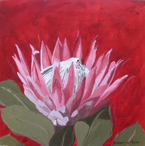 "Fynbos 84, Protea Cynoroides"