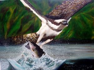 "Fish Eagle"