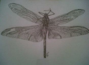 "Dragonfly"