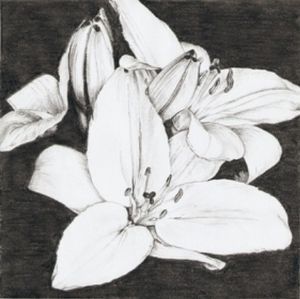 "Flowers"