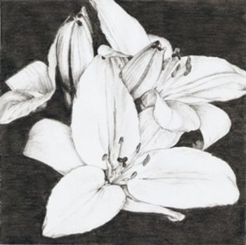 "Flowers"
