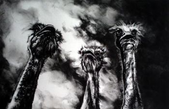 "Ostriches"