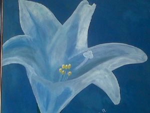 "Lily"