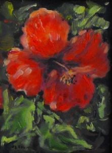 "Red Hibiscus"