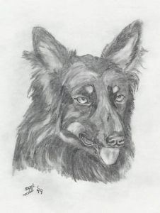 "Shepherd's Dog"