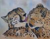 "Two Cheetahs"