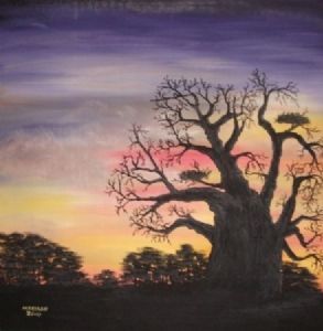 "Baobab Sunset"