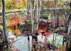 "Autumn Lake"