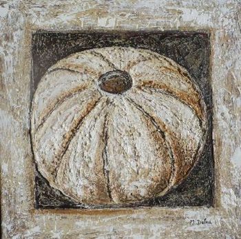 "Urchin Sea Shell"