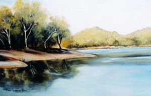"Dam in the Bushveld"