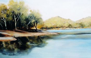 "Dam in the Bushveld"