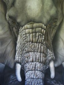 "Elephant"