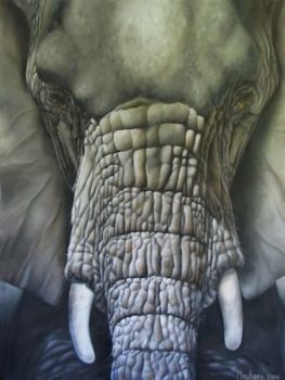 "Elephant"