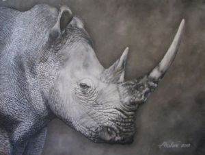 "Rhino"