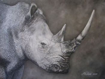 "Rhino"