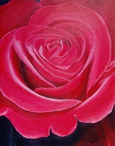 "Red Rose"