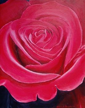 "Red Rose"