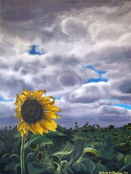 "Lonely Sunflower"