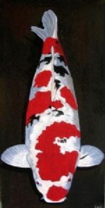 "Koi 1"