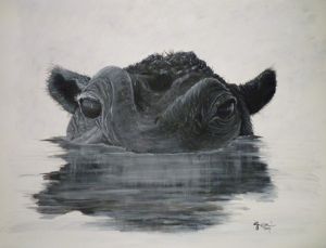 "Old Cow"