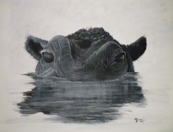 "Old Cow"