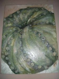 "Seepampoentjie Groen"