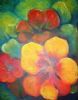 "nasturtiums"