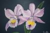 "Purple Orchids"
