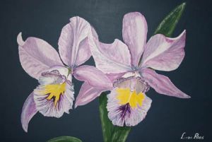 "Purple Orchids"