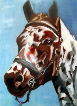 "Appaloosa 1"