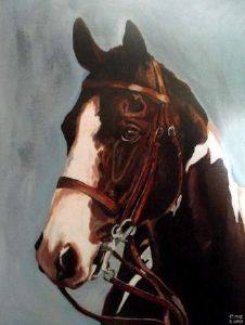 "Appaloosa 2"