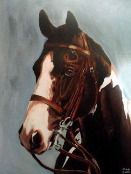 "Appaloosa 2"