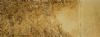 Gold Dust