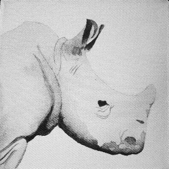 "Baby Big Five - Rhino"