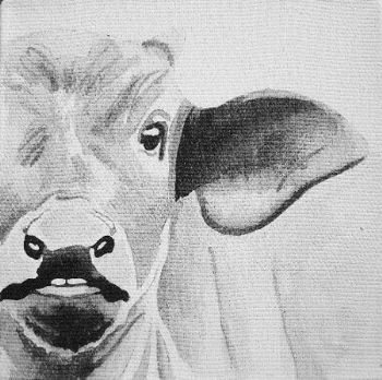 "Baby Big Five - Buffalo"