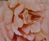 "Soft Petals"